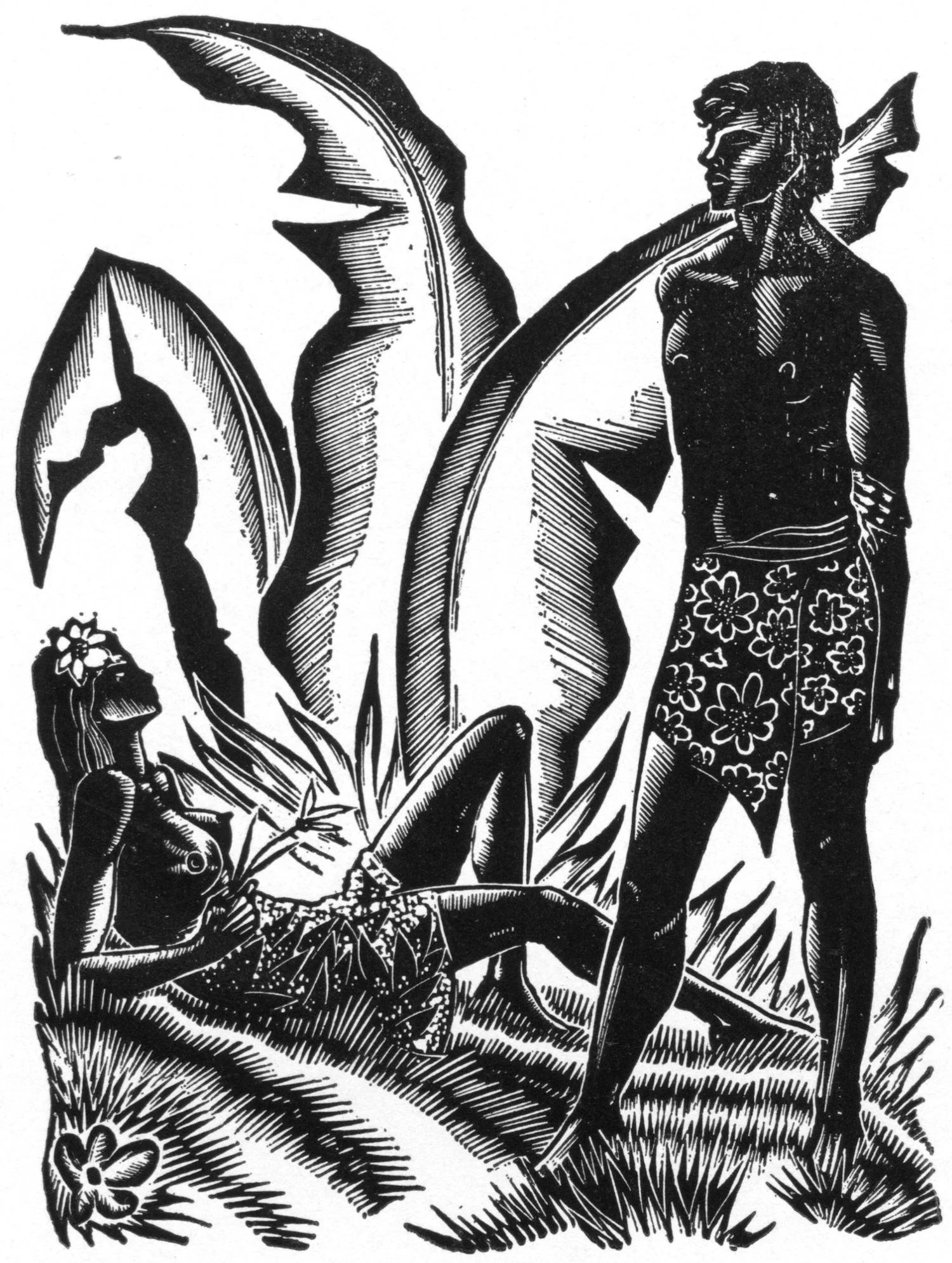 Plate from Hot Countries
