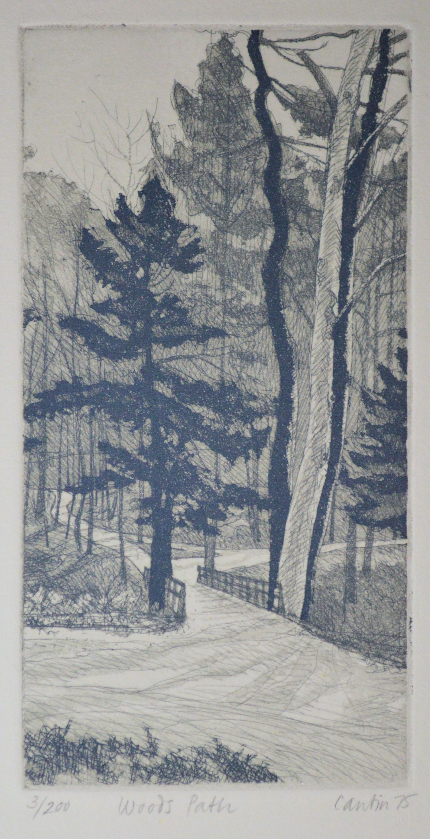 Woods Path