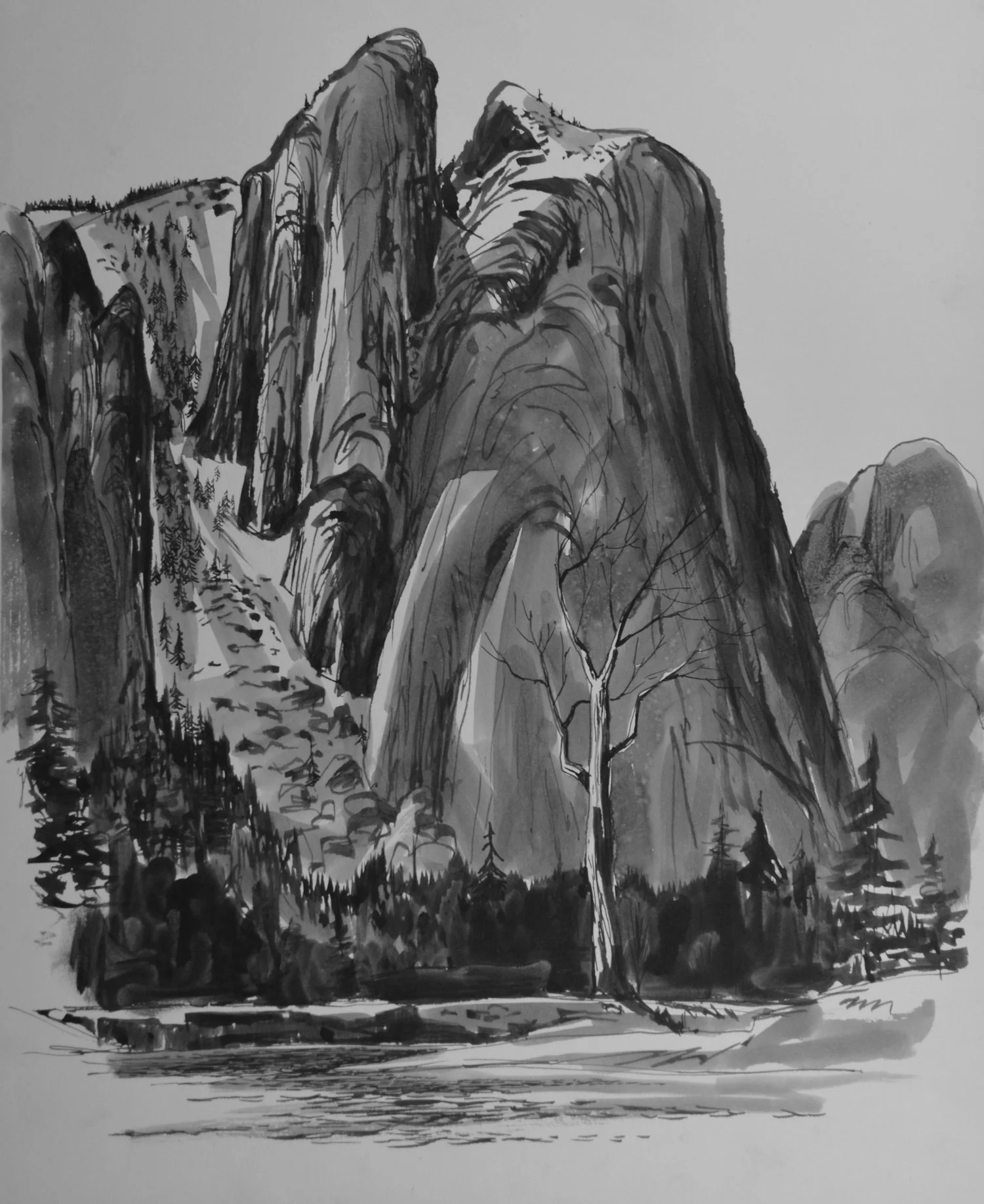Untited Winter Mountain Scenery