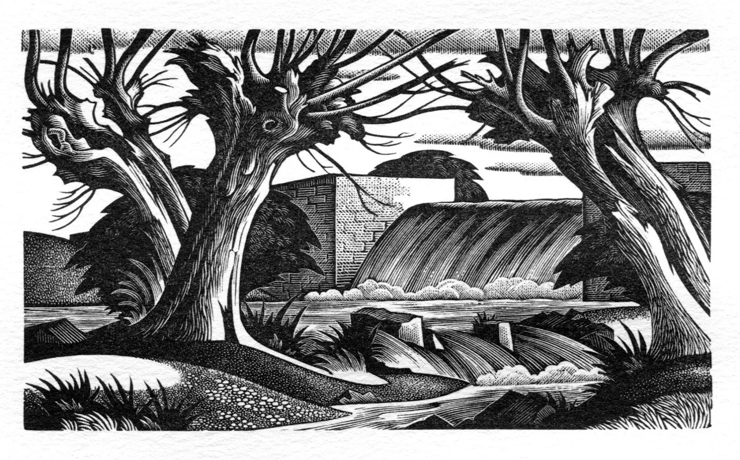 Wier