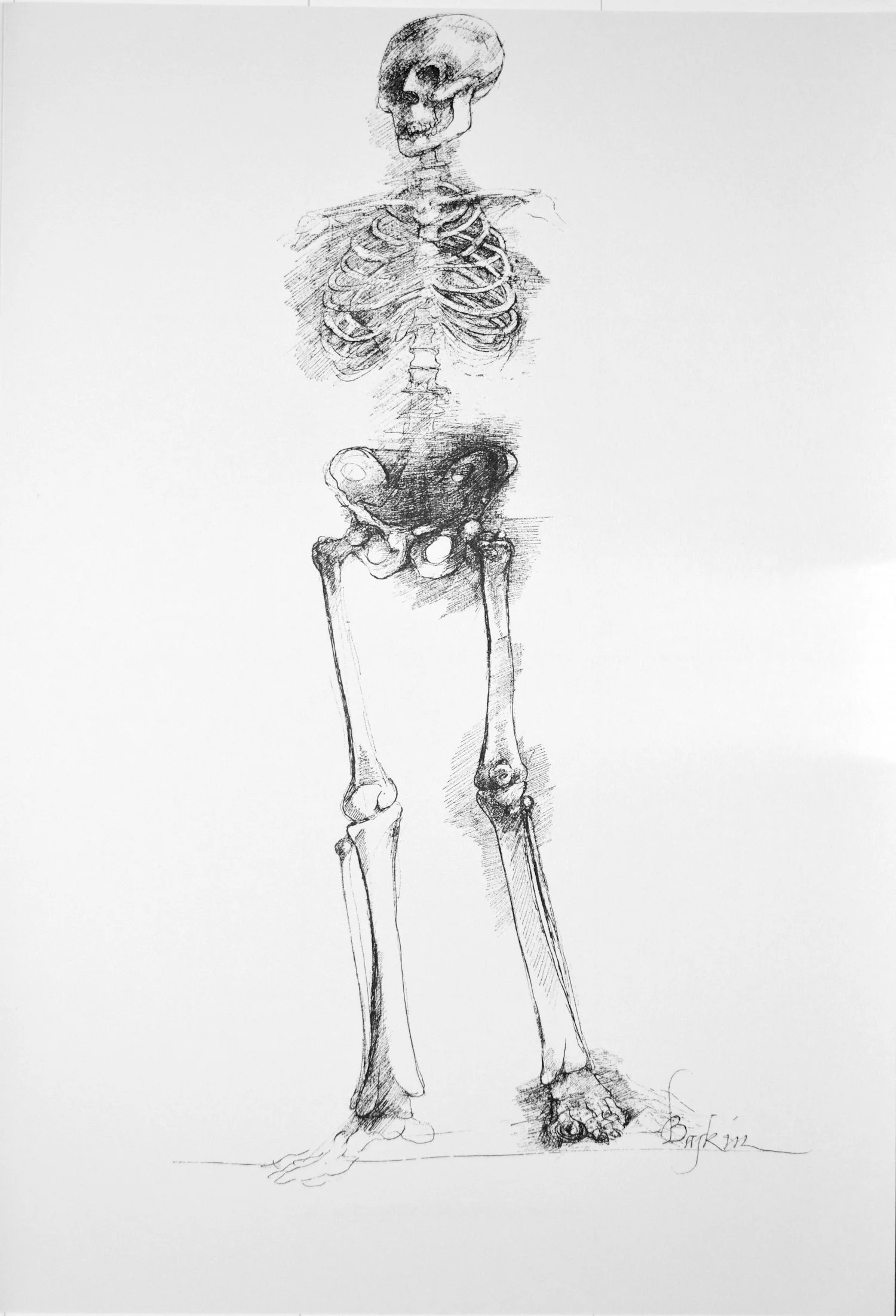 Plate IX from Ars Anatomica