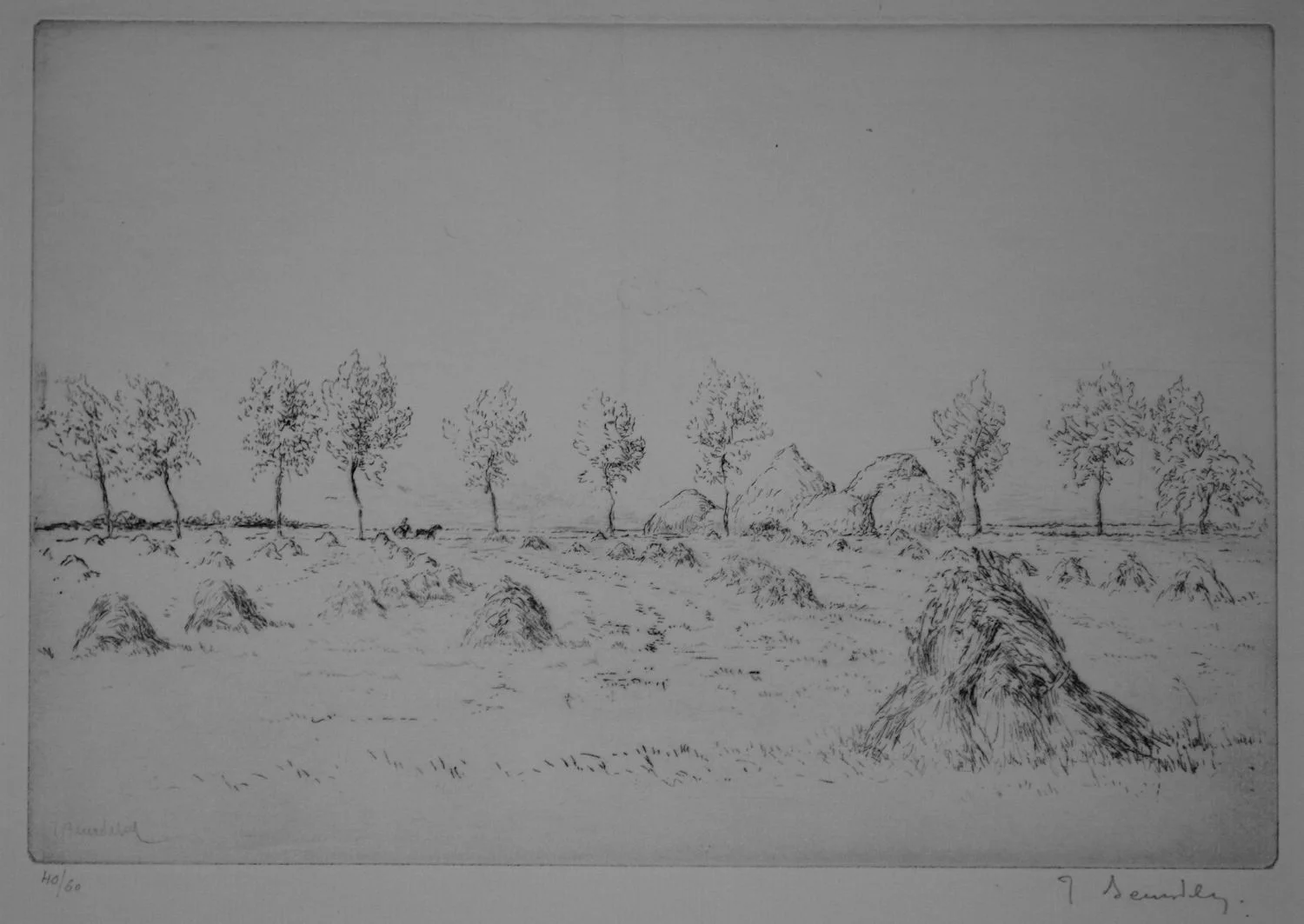La plaine après la moisson