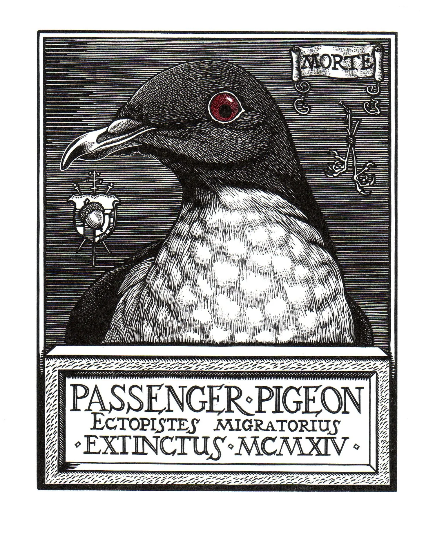Passenger Pigeon