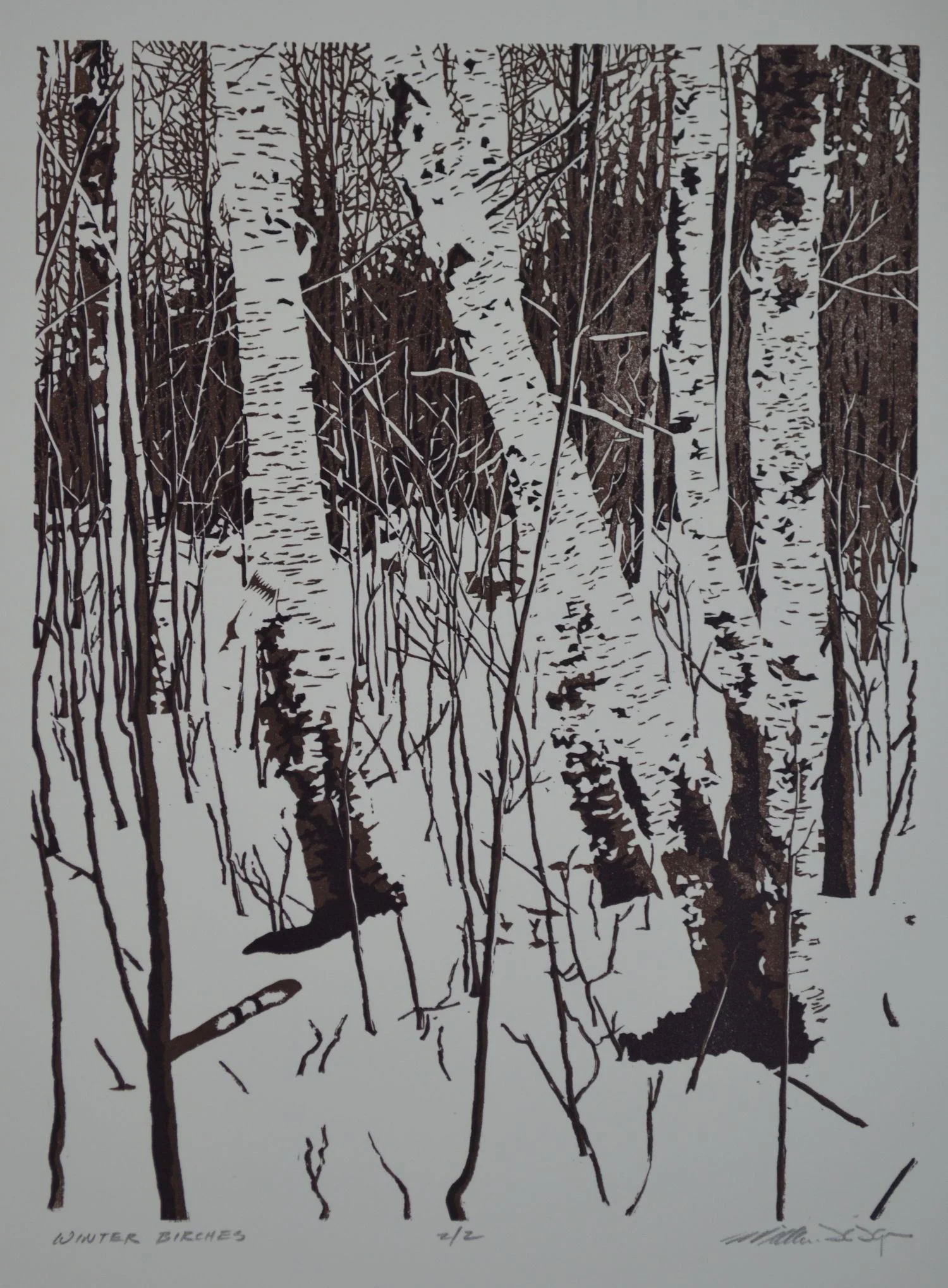 Winter Birches
