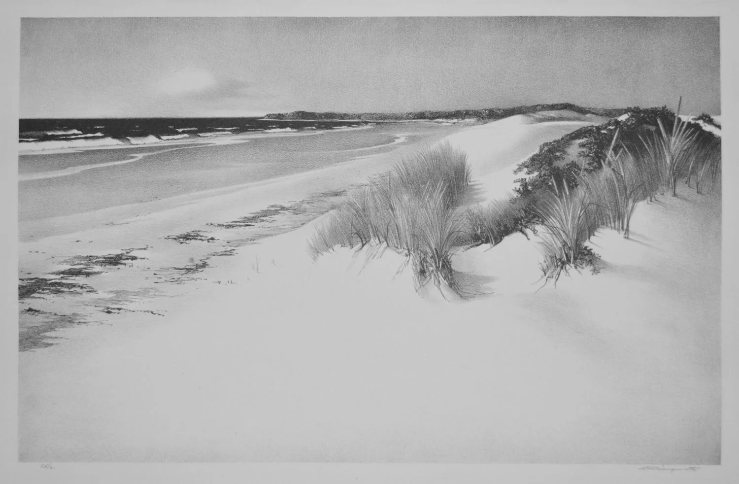 Sunlit Dunes