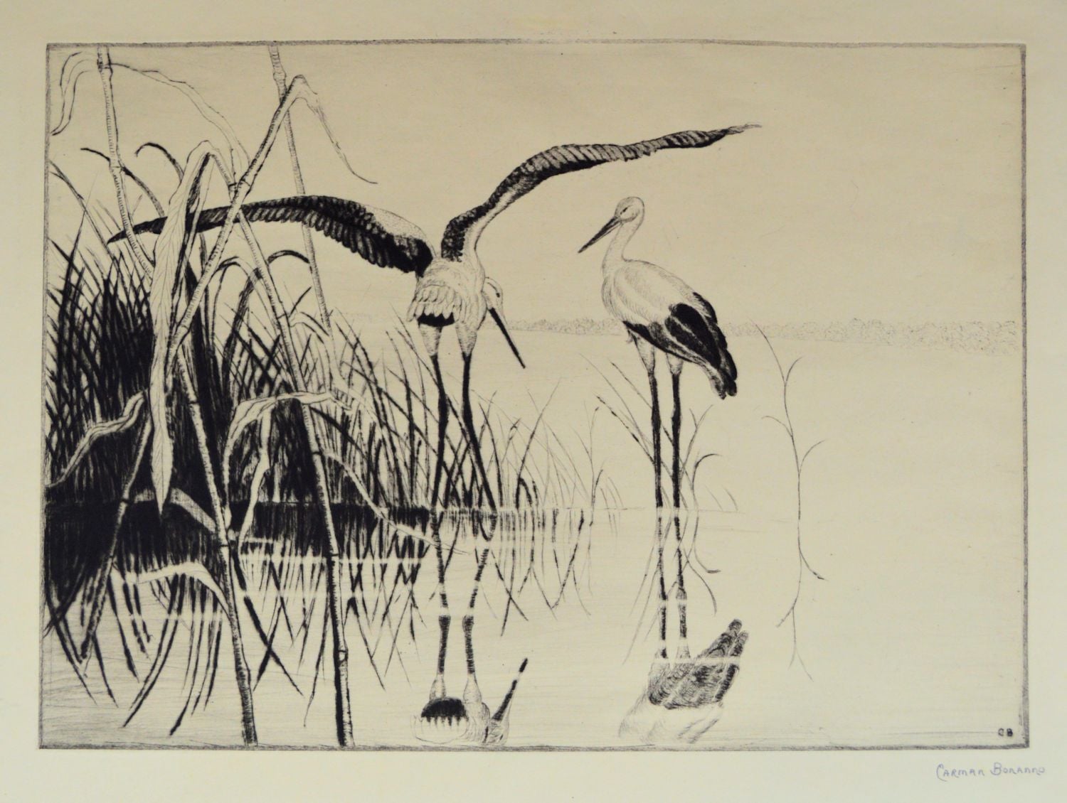 At Rest in the Marsh