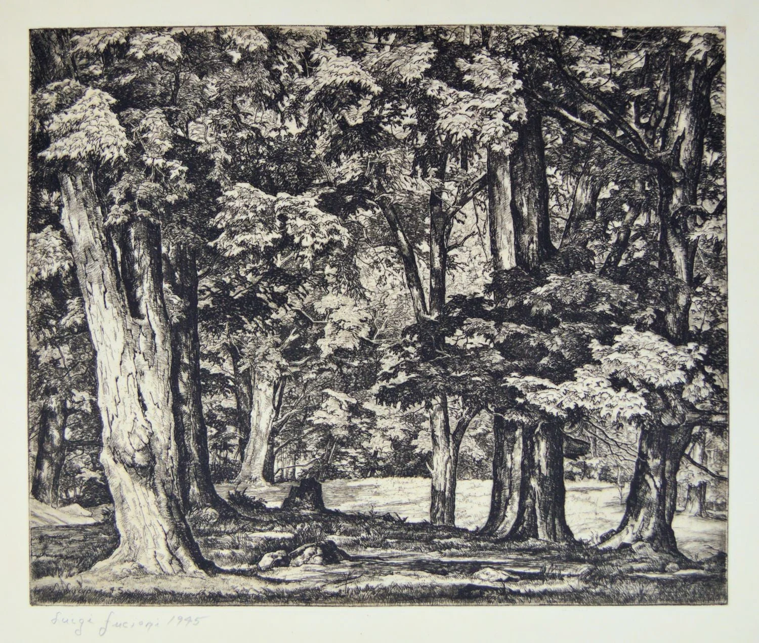 Tree Tapestry