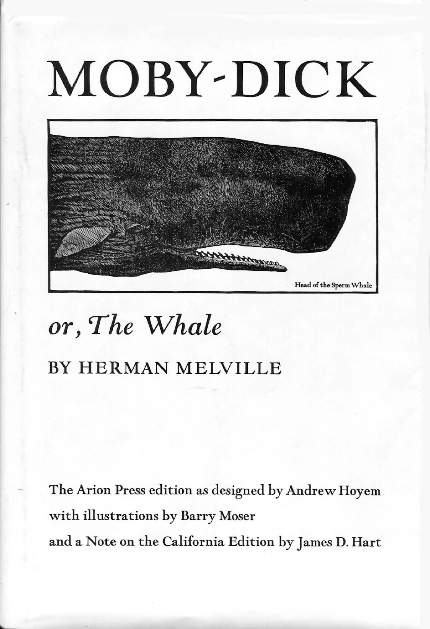 Herman Melville: Moby Dick