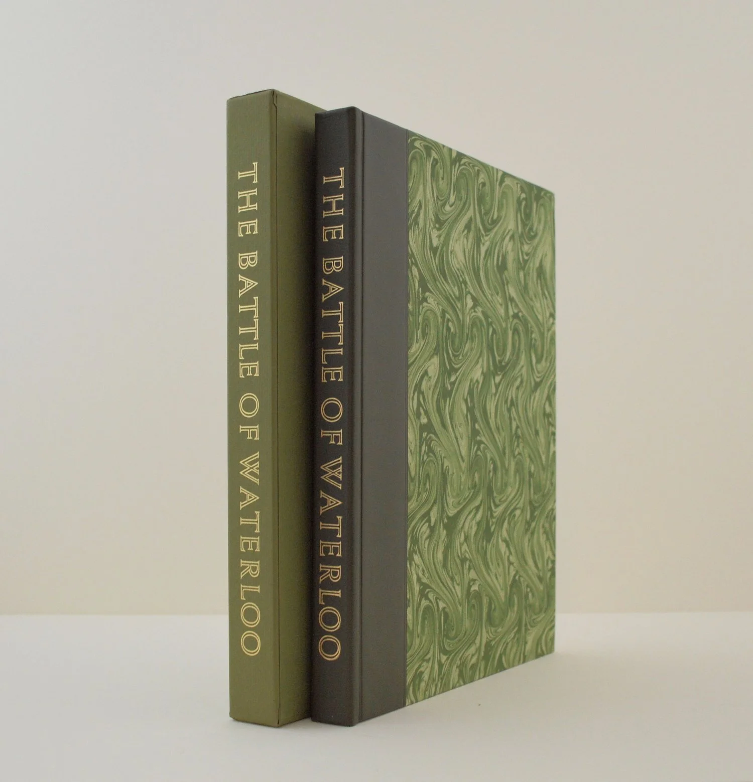 Victor Hugo: The Battle of Waterloo