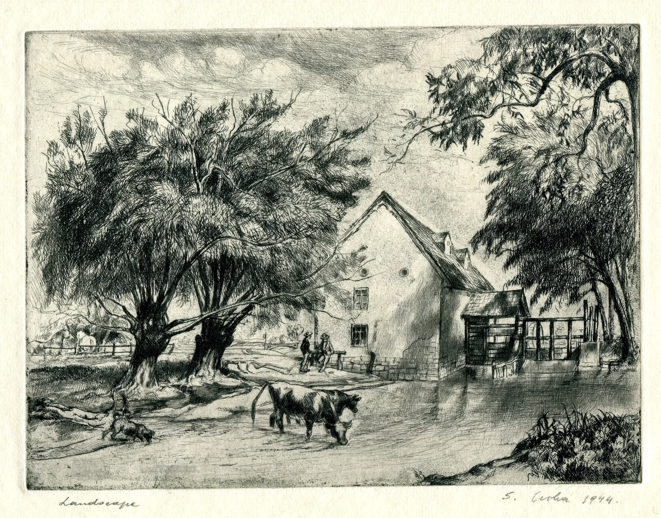 Landscape