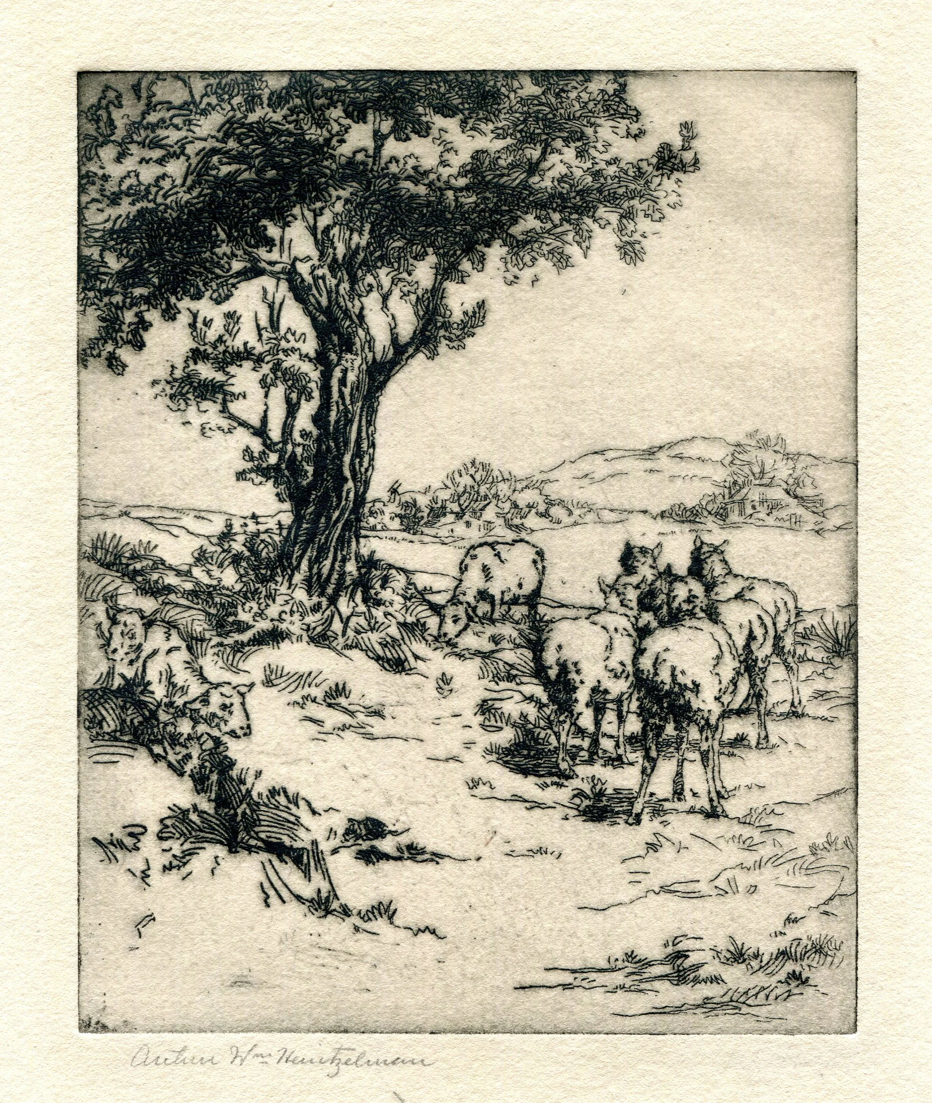 On the Old Magnolia Road