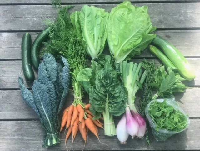 Bring the abundance of our thriving garden into your kitchen this season!