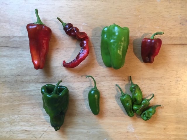 Pepper varieties for CSA.jpg
