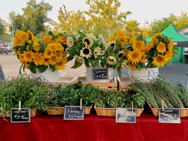 Sunflowers at market.jpg