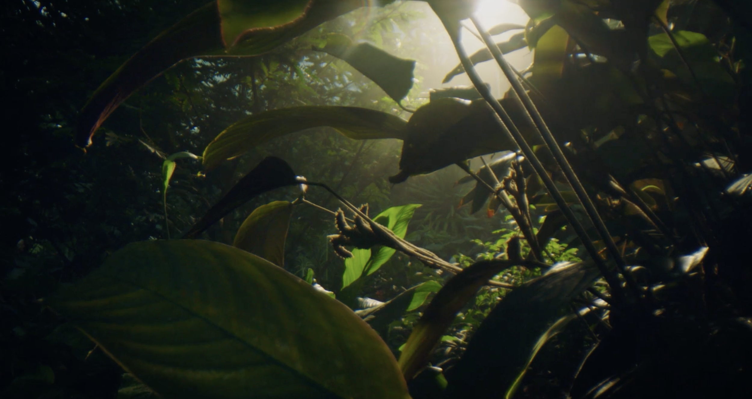 Screenshot 2022-12-13 at 13.26.55.png