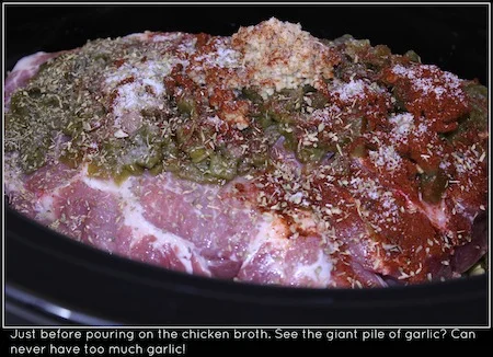 carnitas before broth.jpg