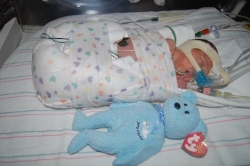 The Beanie Baby is just a few inches shorter than him.