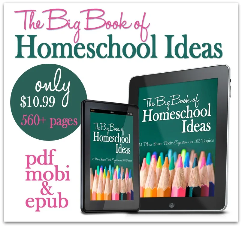 Big-Book-promo-1.jpg