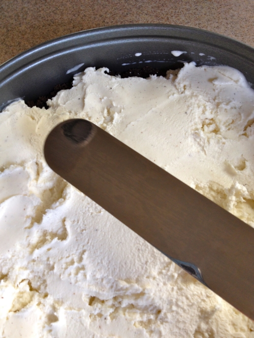 Spread that ice cream goodness all over!