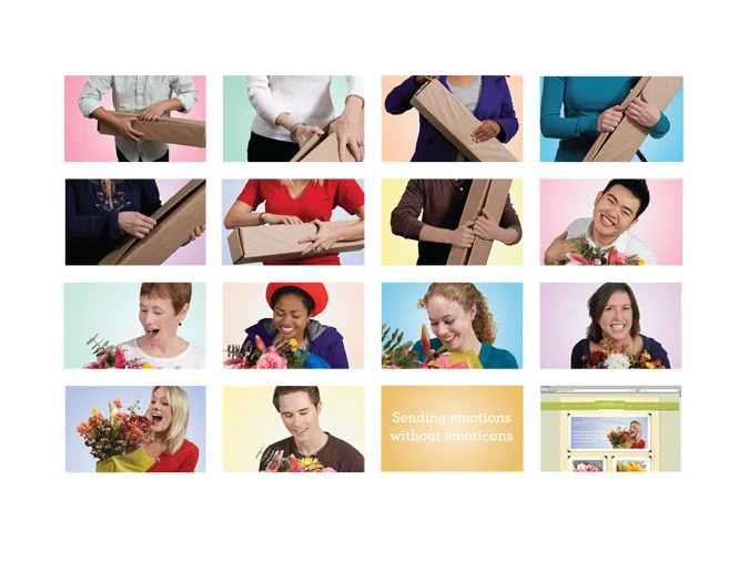  Flash intro in the new Proflowers webpage. 