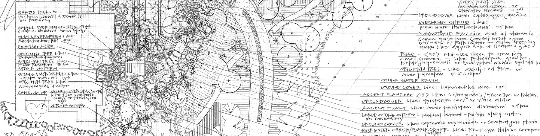 SimonDrawingCropWeb.jpg