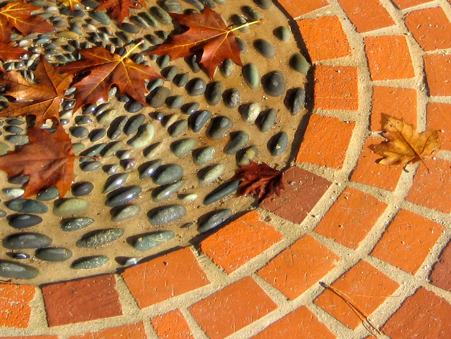 IMG_1000web3.jpg