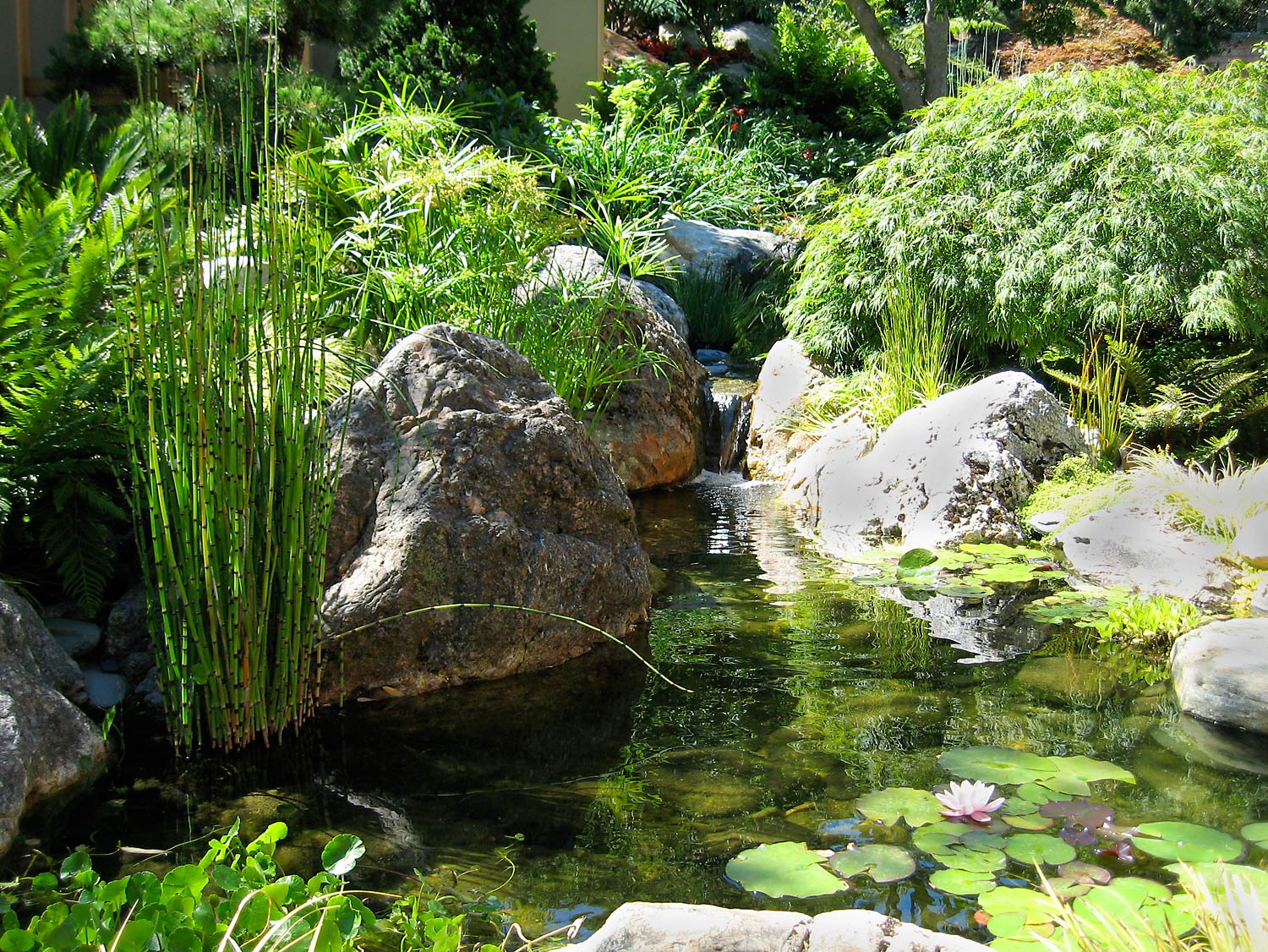 IMG_0070web.jpg