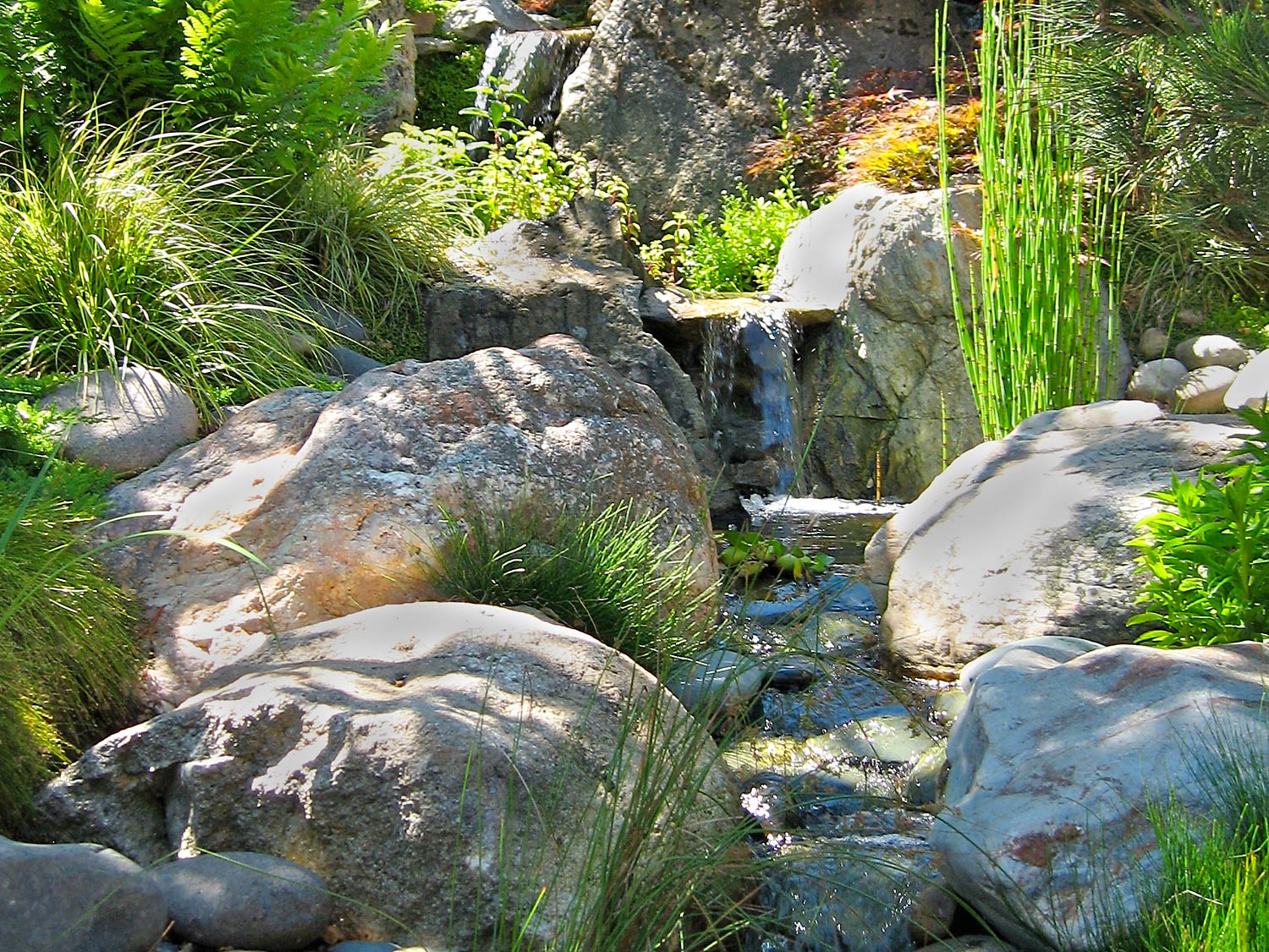 IMG_78web.jpg