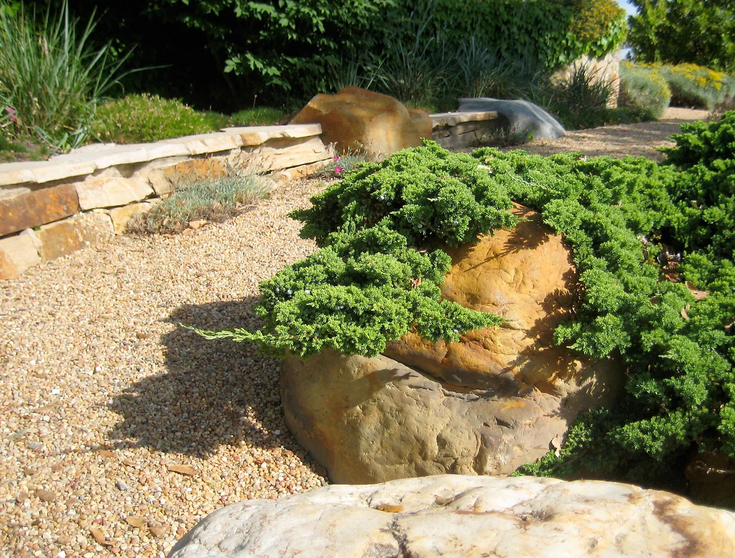Garden path with boulders and a low dry stack stone wall