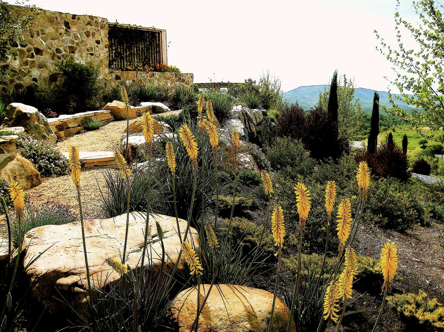 Hillside pathway