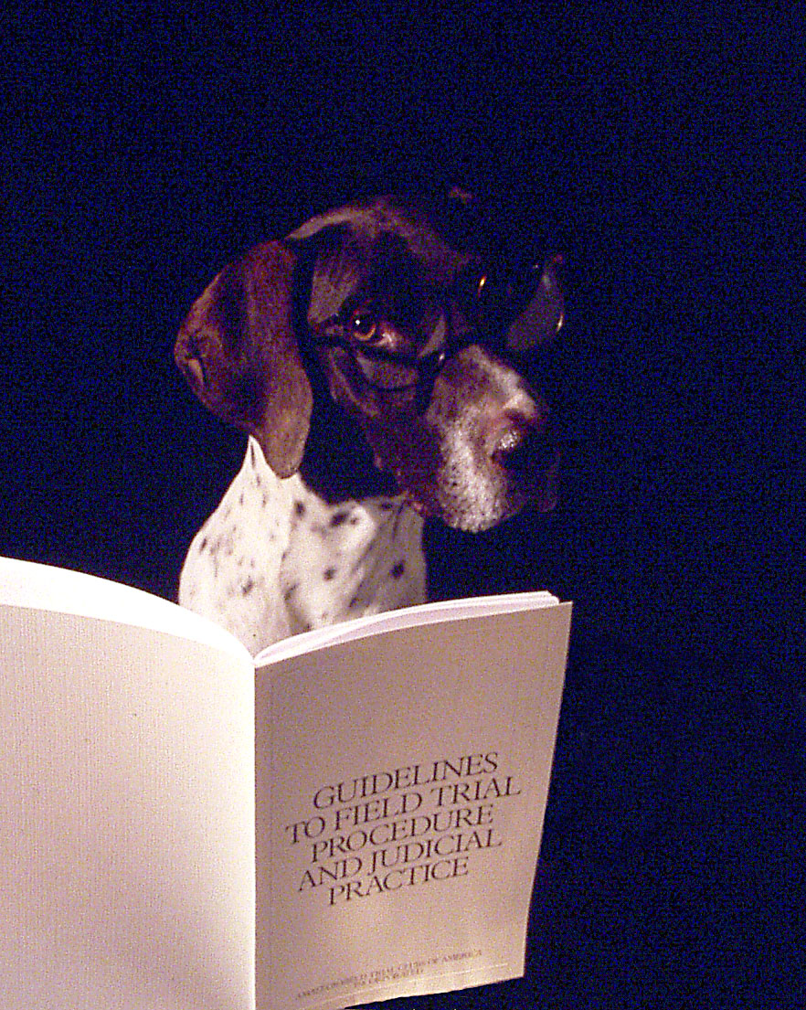 YO reading.jpg