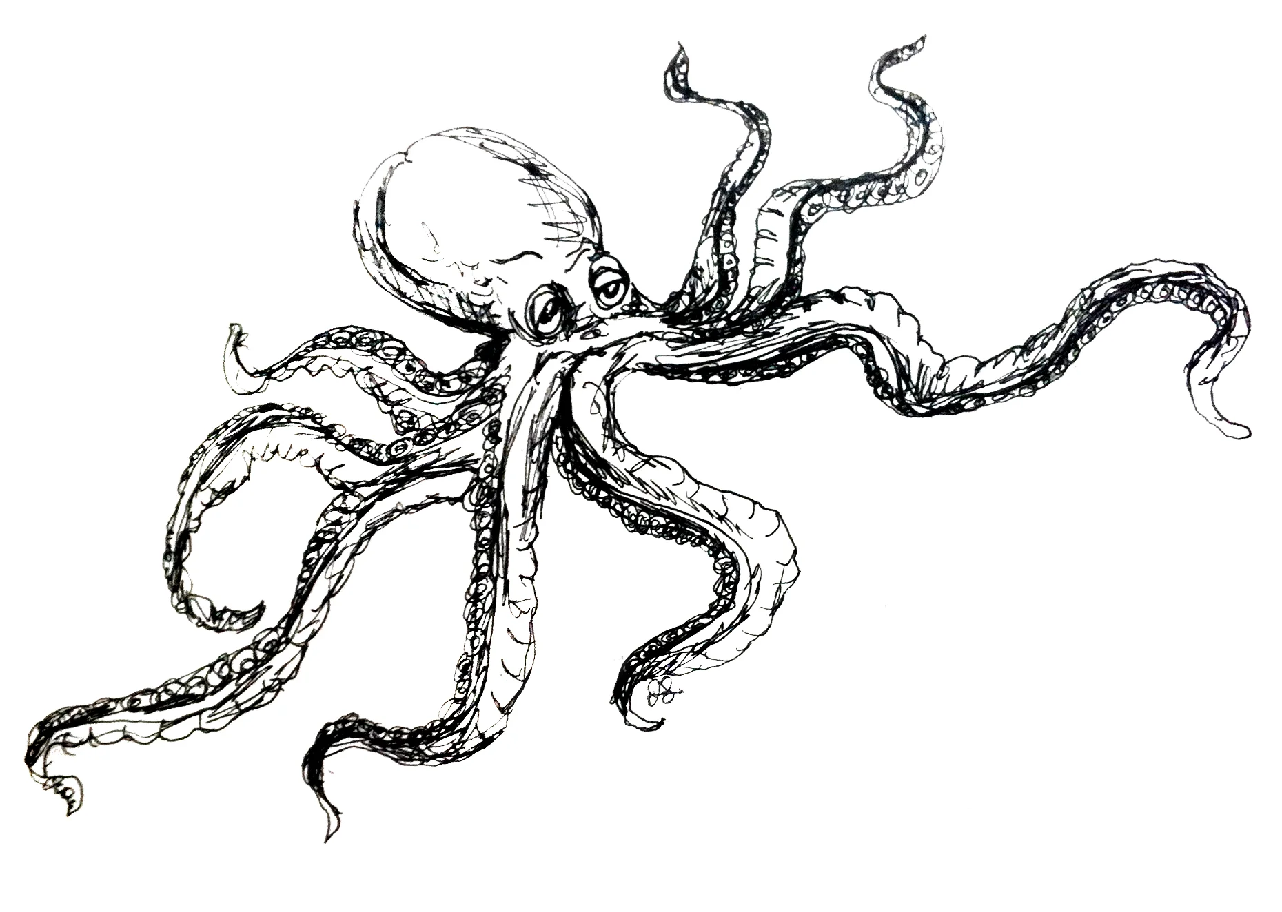 no, Kraken. We’re reframing “hubris” here. Move along now, please.