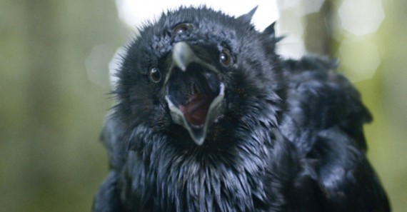Three-eyed raven, Game of Thrones