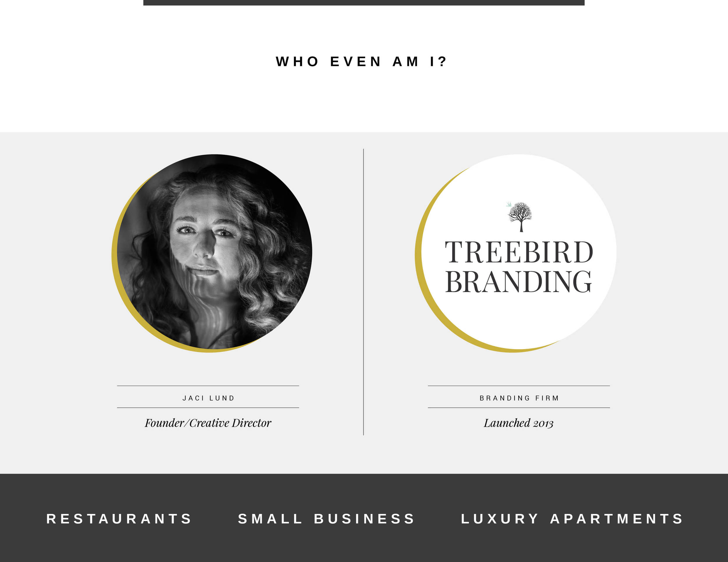 Introduce self, company and what we do- garner credibility.