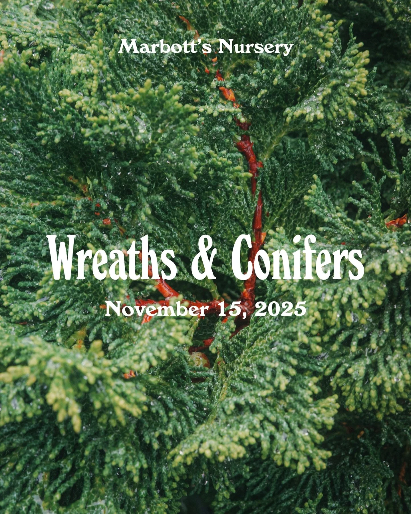 Save the date for holiday wreaths and Winter greens at Marbott&rsquo;s. Starting Nov 15th we will have wreaths available without reservations. Expect a curated selection of wreaths, tassels, garland, and hundreds of cute little conifers. 🌲🌲🌲

Need