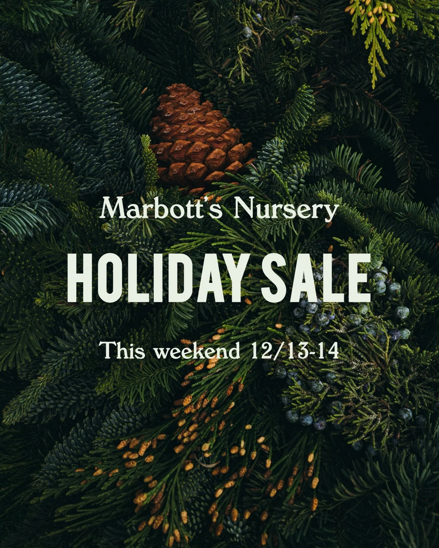 Finish up those holiday decorations with us at Marbott&lsquo;s this weekend. Celebrate with 20% off all wreaths, holiday greens, and poinsettias. And don&rsquo;t forget to browse our indoor house plants&hellip; a perfect gift for those you love (your