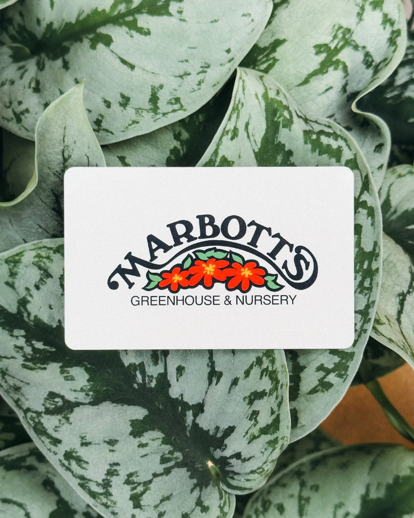 Marbott&rsquo;s gift cards make a great gift or stocking stuffer for anyone who loves houseplants, veggie growing, landscaping, or beautiful Spring annuals.

Available in store and online at marbotts.com!
