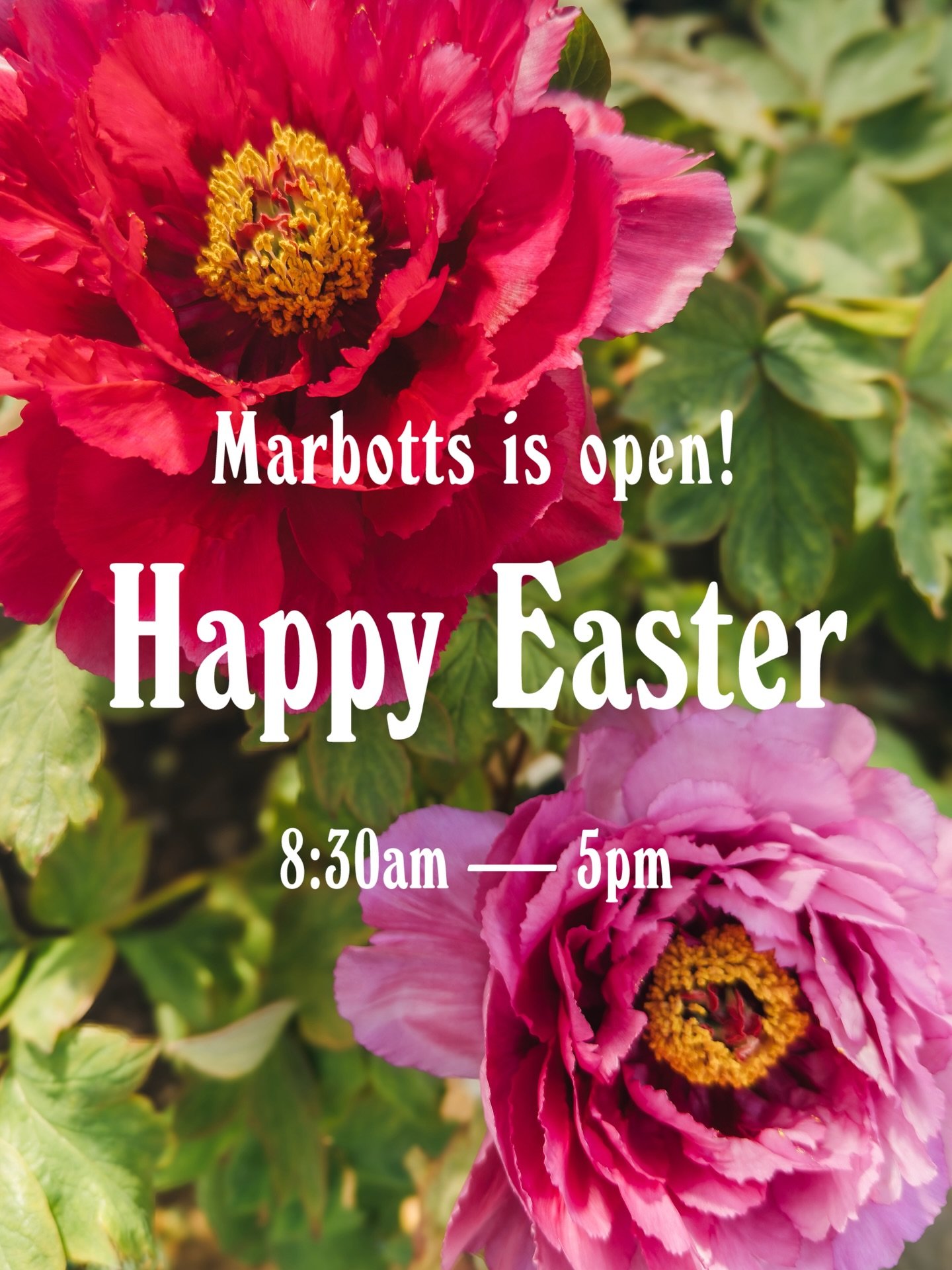 Celebrate Easter Day with a stroll through the blooms and veggies starts! It&rsquo;s going to be a beautiful day 😄