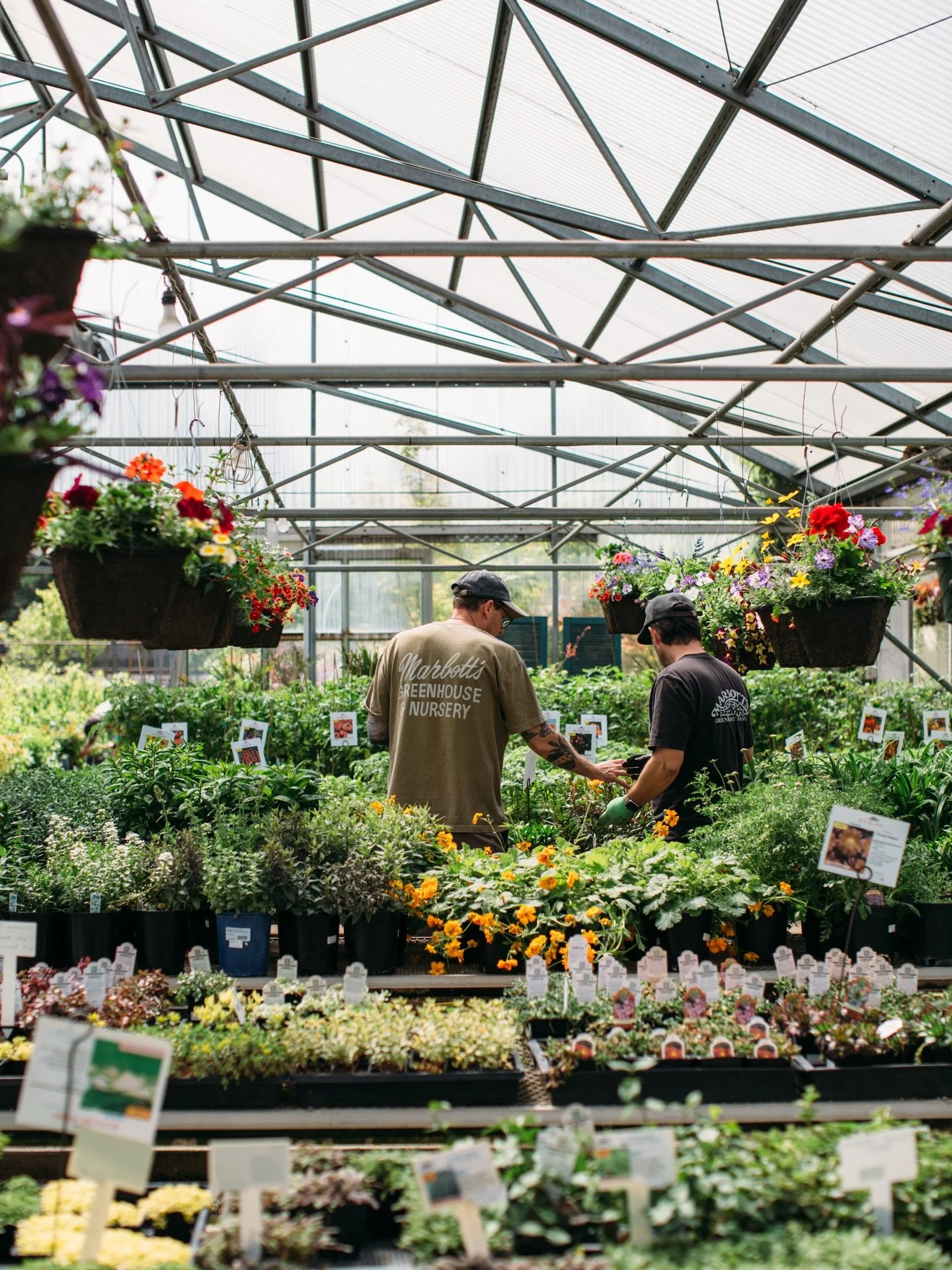 Benches are full and baskets are blooming!