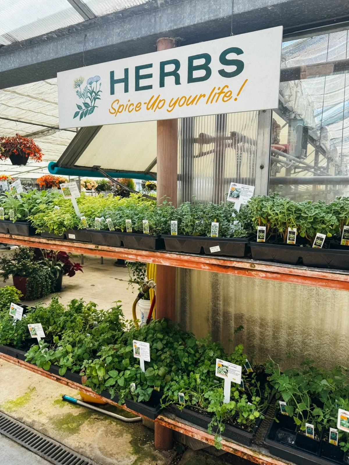 Reminder that we have herbs available year round. Keep your culinary game strong all summer long with basil, cilantro, dill, mint, oregano, tulsi, chamomile, lavender, lemongrass, and more.
