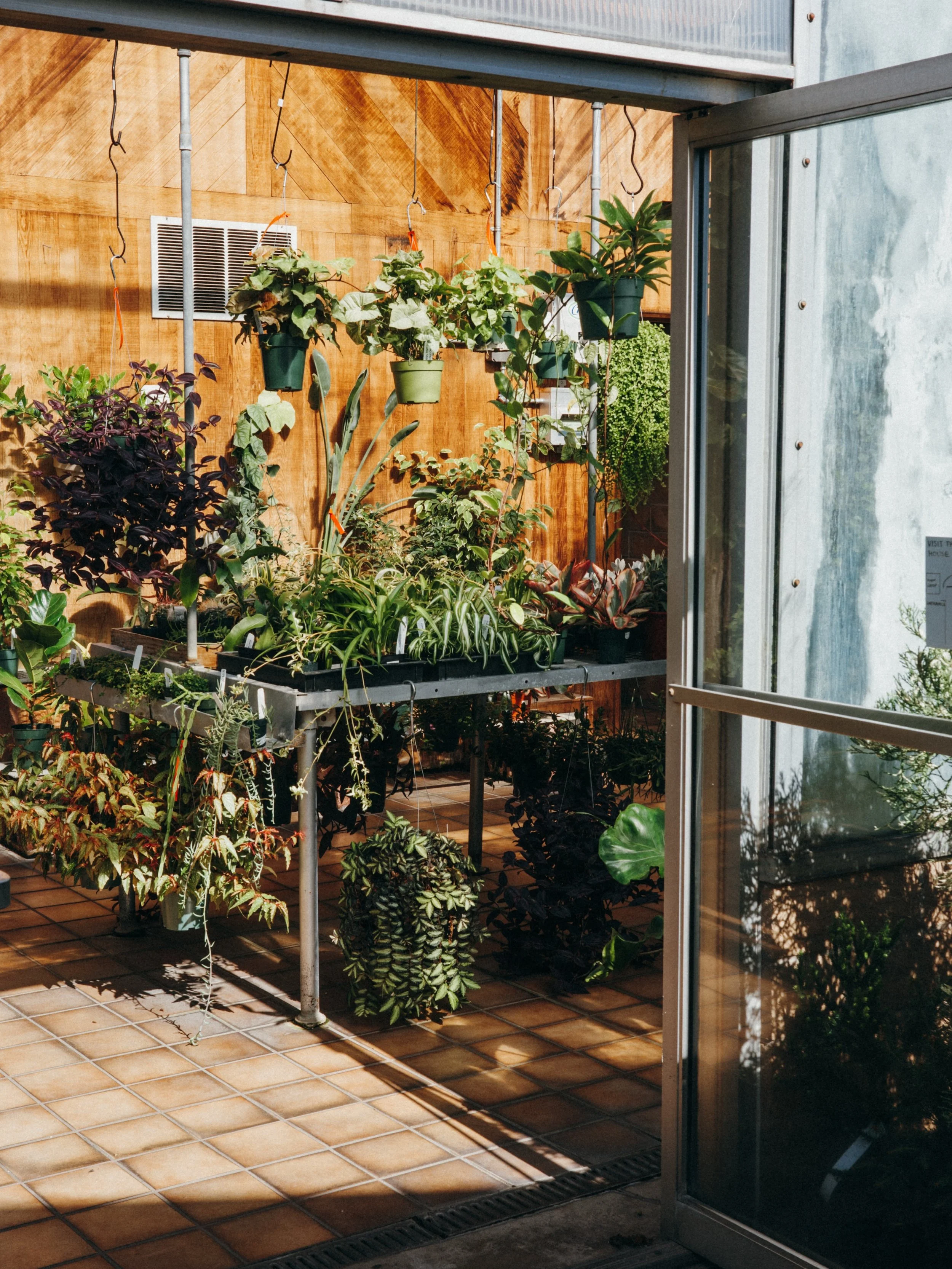 Did you know Marbott&rsquo;s is also a tropical paradise? 🏝️ Our homegrown indoor plant program has been growing amazing plants since the 1970s. We pride ourselves in growing quality plants at accessible prices, but we equally love providing a fun t