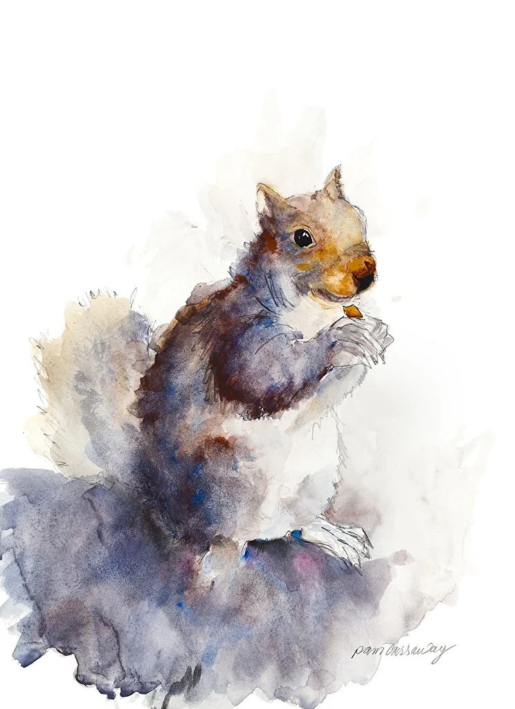 Squirrel+1.jpg