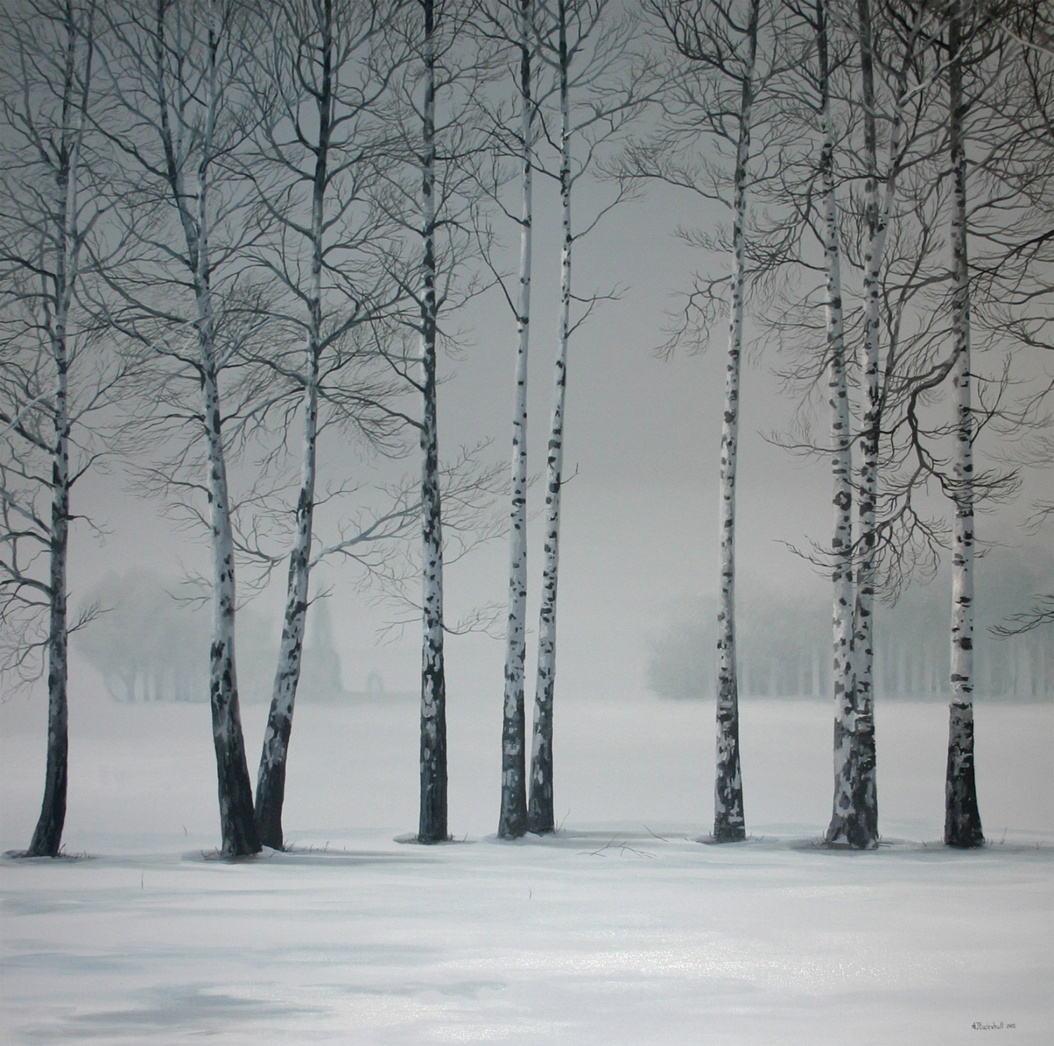 picture Birch Trees In Snow Paintings snowy birch trees with andy eccleshall