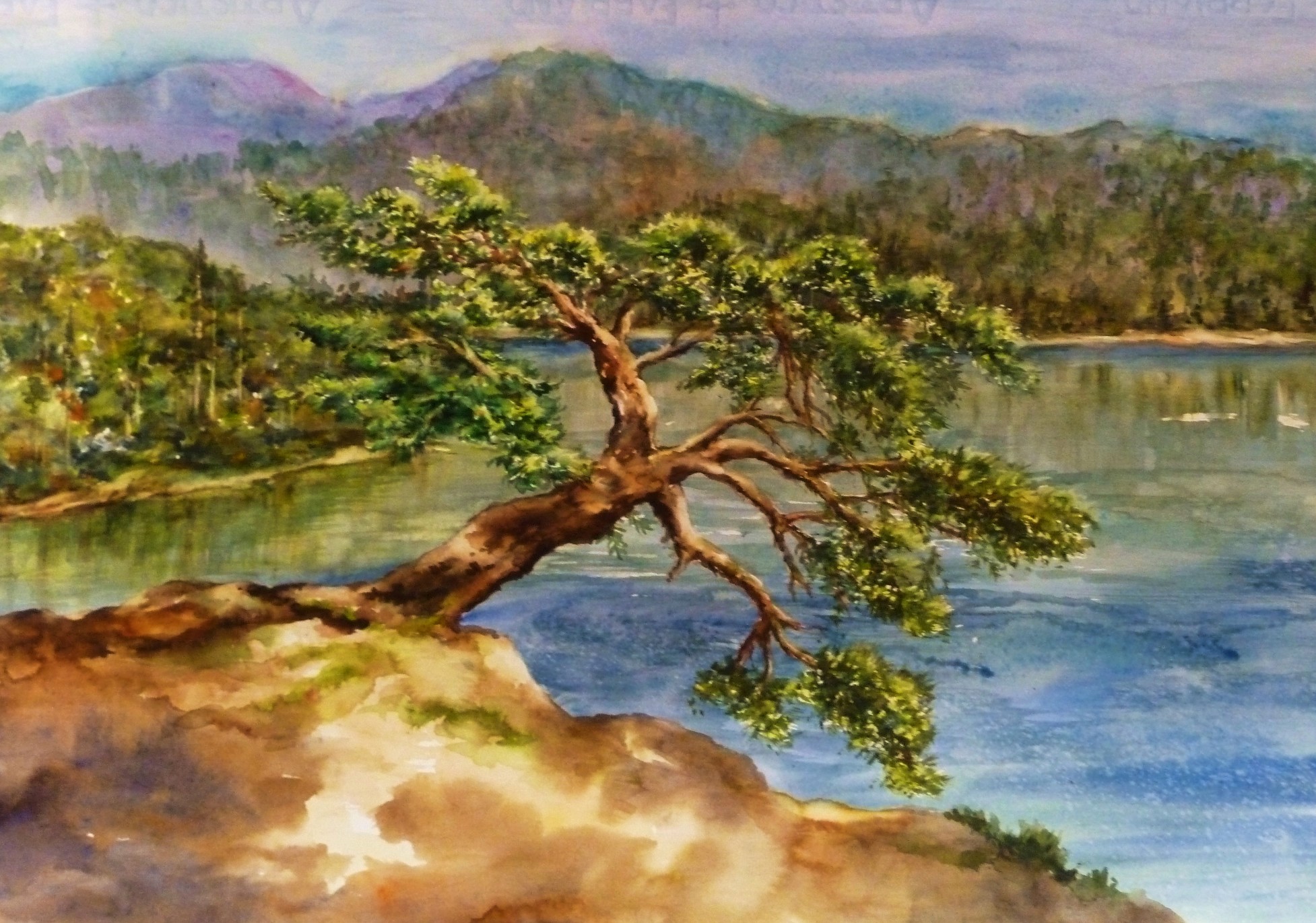 The Jumping Tree 14x22by Denise Cole.JPG