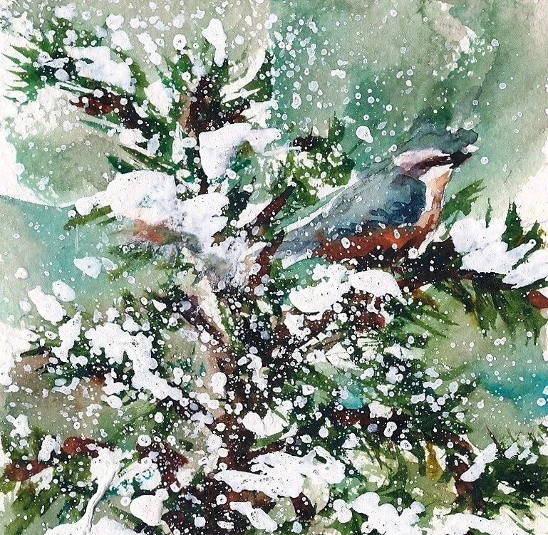 Nut Hatch in snow card - Copy.jpg