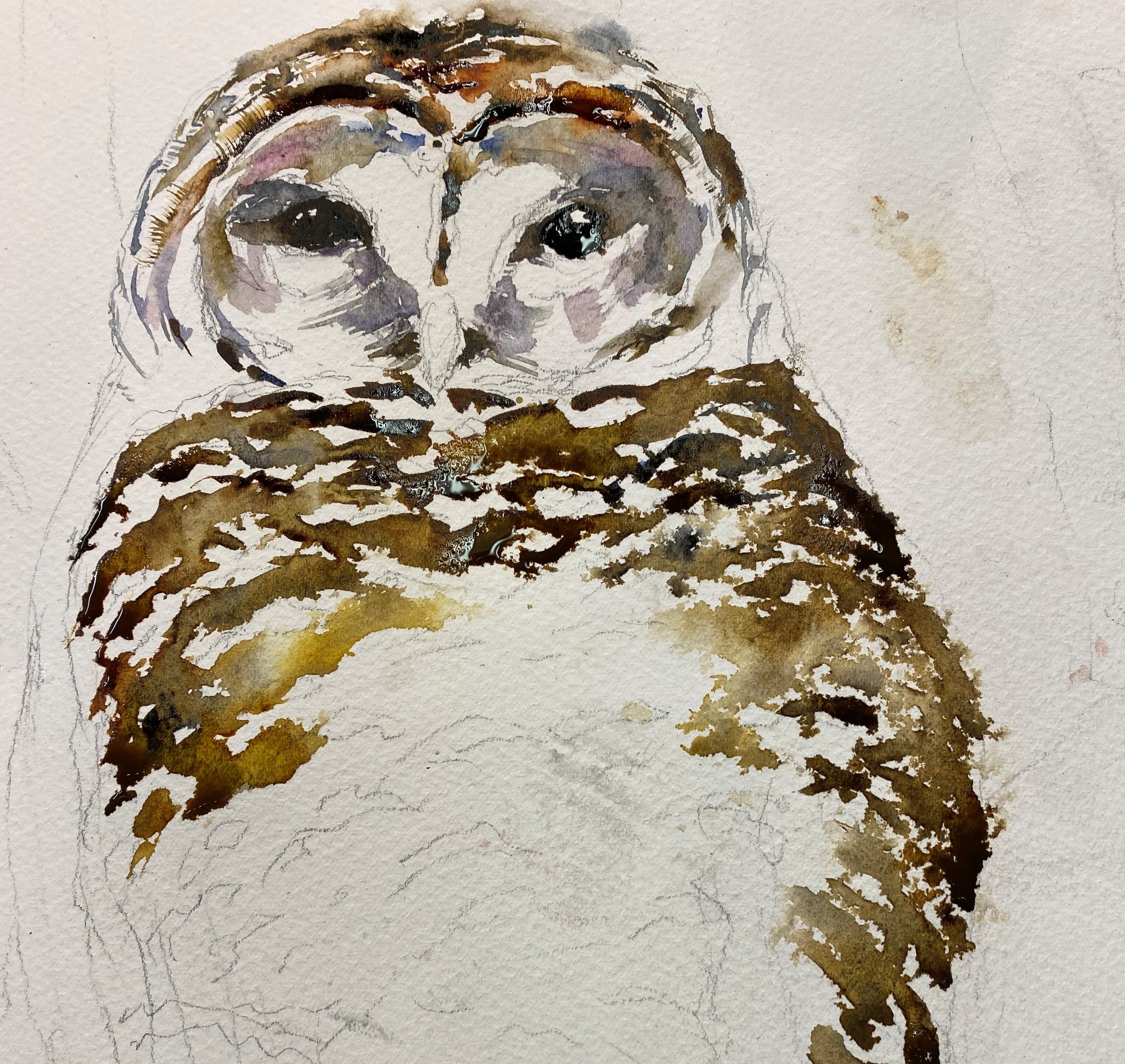 Owl in process - Copy.jpg