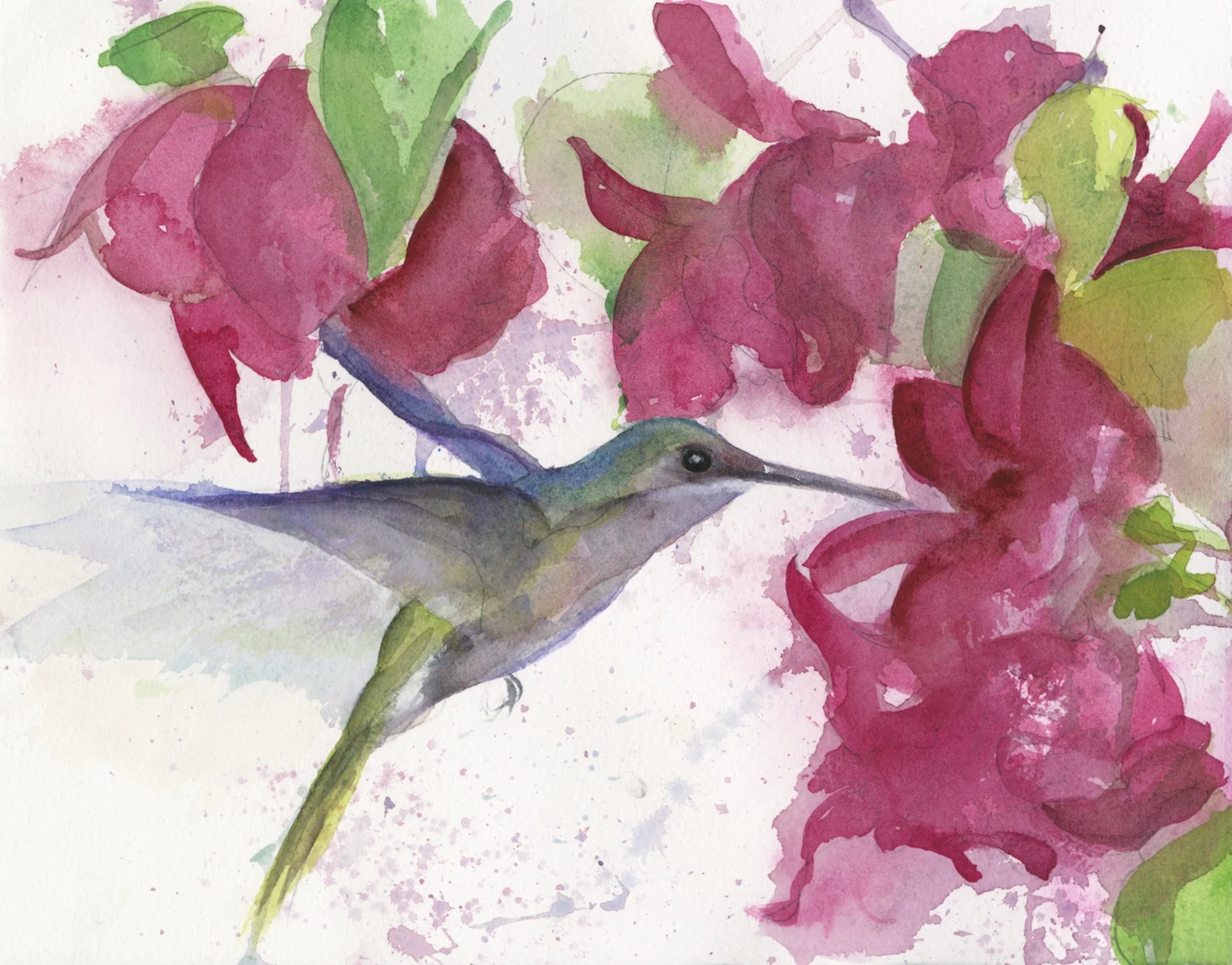 Lunchtime Hummer.jpg