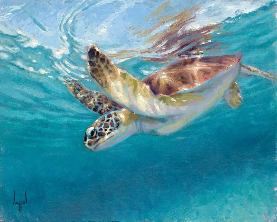 Sunlit Turtle - Joyful.jpeg