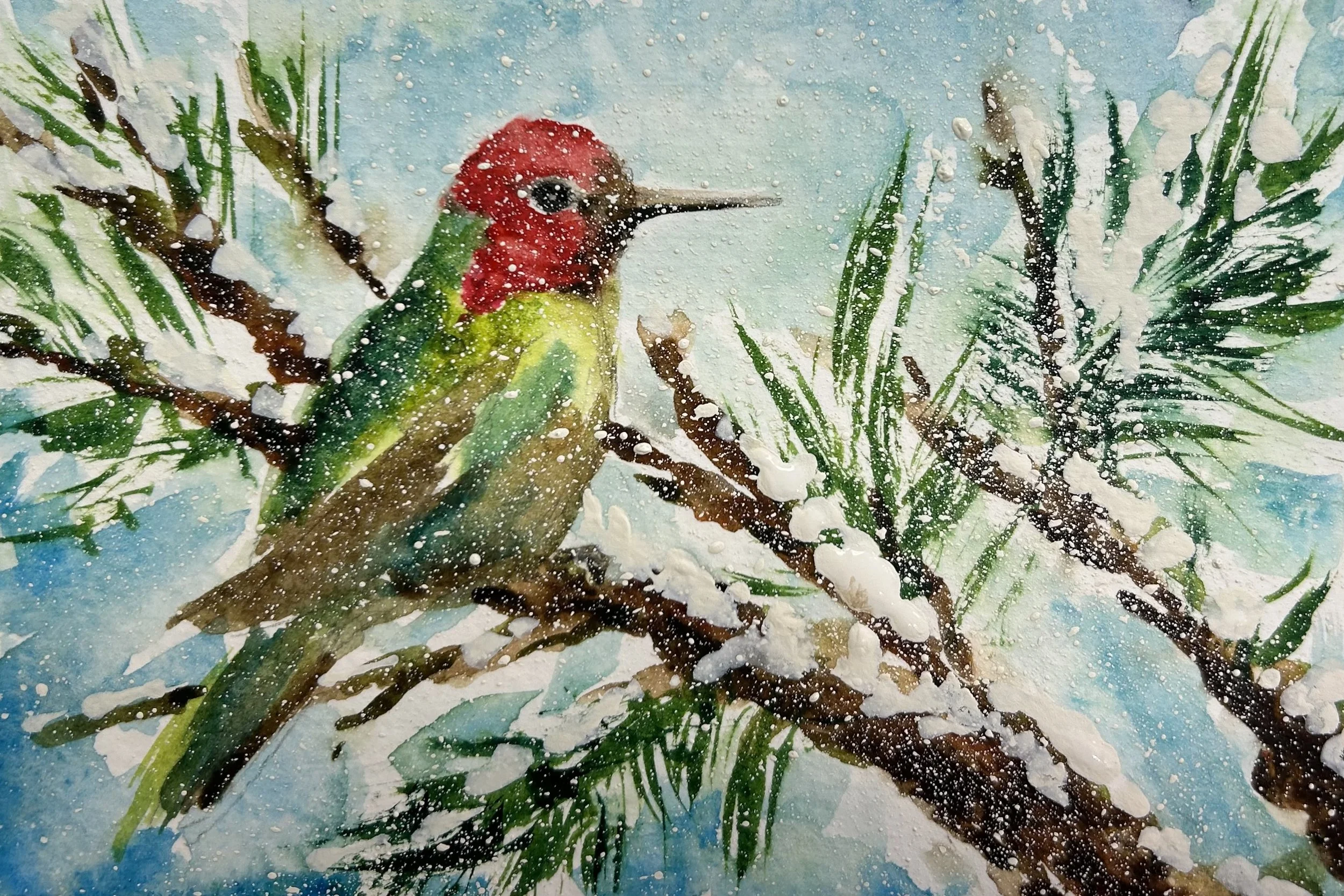 Humminbird-XMas - Denise.jpg