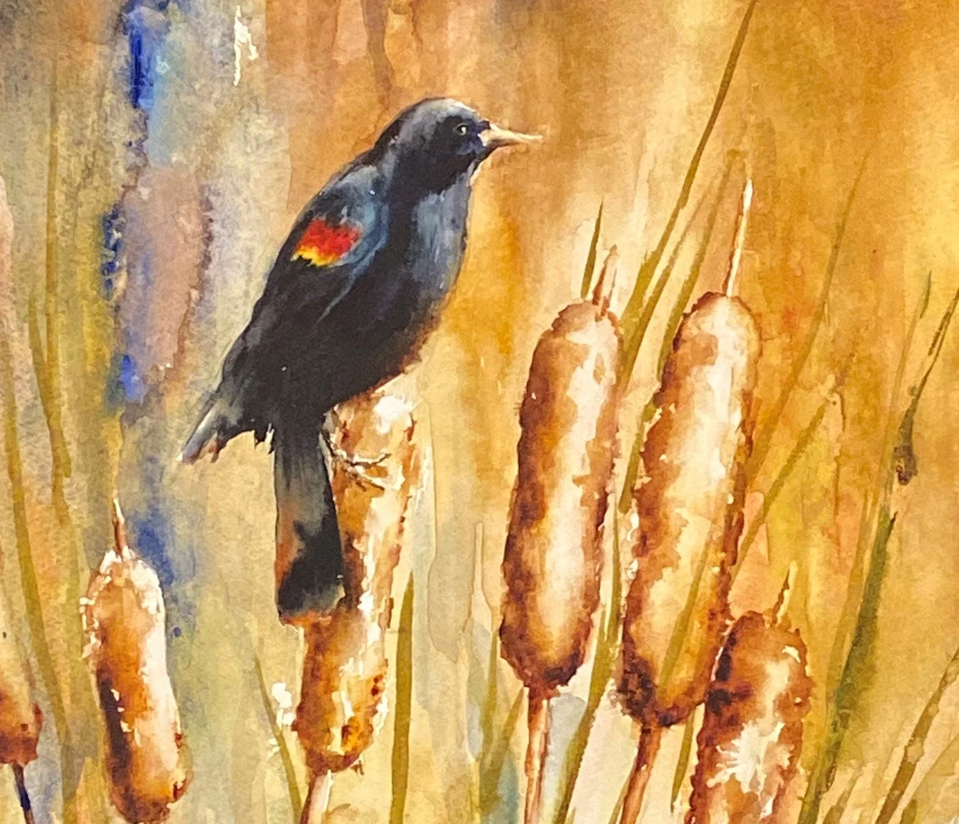 Blackbird - Copy.jpg